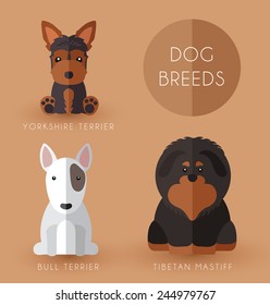 Dog breeds 