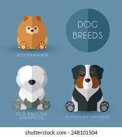 Dog Breeds