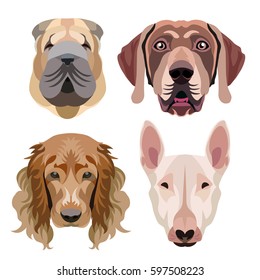 dog breeds