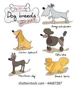 Dog breeds 3