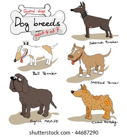 Dog breeds 4