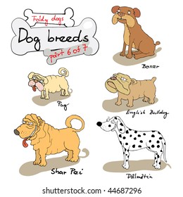 Dog breeds 6