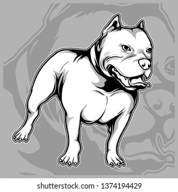 dog breeds the American pit bull hand drawing vector