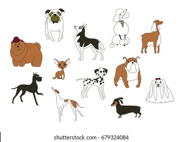 Dog breeds. Animal symbol of 2018 on the eastern calendar. Icons of cute doggys isolated on white background. Set of vector illustrations.
