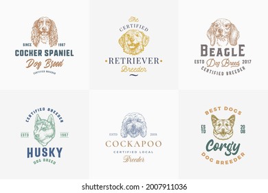 Dog Breeds Badges or Logo Templates Collection. Hand Drawn Spaniel, Corgy, Beagle, Retriever and Husky Dogs Face Sketches with Typography and Borders. Premium Emblems Set Isolated.