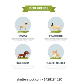 Dog Breeds Banner Template, Poodle, Dachshund, Bull Terrier, English, Bulldog Vector Illustration