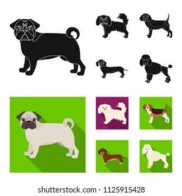 Dog breeds black, flat icons in set collection for design.Dog pet vector symbol stock web illustration.