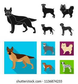 Dog breeds black, flat icons in set collection for design.Dog pet vector symbol stock web illustration.