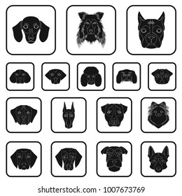 Dog breeds black icons in set collection for design.Muzzle of a dog vector symbol stock web illustration.