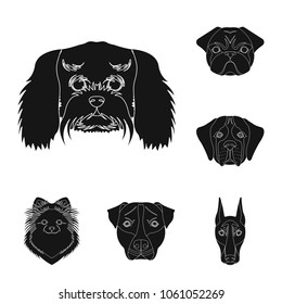 Dog breeds black icons in set collection for design.Muzzle of a dog vector symbol stock web illustration.