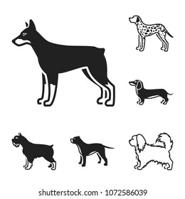 Dog breeds black icons in set collection for design.Dog pet vector symbol stock web illustration.