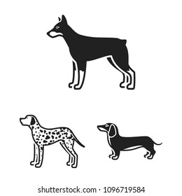 Dog breeds black icons in set collection for design.Dog pet vector symbol stock web illustration.