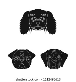 Dog breeds black icons in set collection for design.Muzzle of a dog vector symbol stock web illustration.