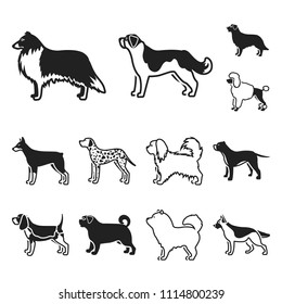 Dog breeds black icons in set collection for design.Dog pet vector symbol stock web illustration.