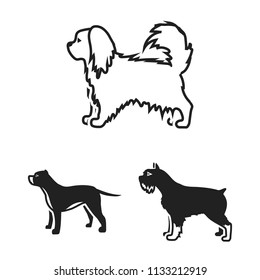 Dog breeds black icons in set collection for design.Dog pet vector symbol stock web illustration.