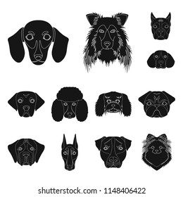 Dog breeds black icons in set collection for design.Muzzle of a dog vector symbol stock web illustration.