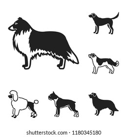 Dog breeds black icons in set collection for design.Dog pet vector symbol stock web illustration.