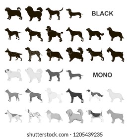 Dog breeds black icons in set collection for design.Dog pet vector symbol stock web illustration.