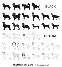 Dog breeds black icons in set collection for design.Dog pet vector symbol stock web illustration.