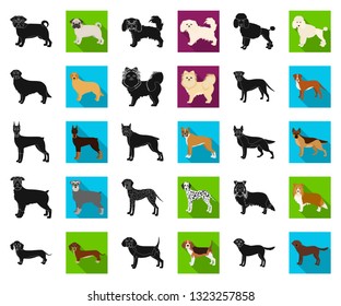 Dog breeds black,flat icons in set collection for design.Dog pet vector symbol stock web illustration.