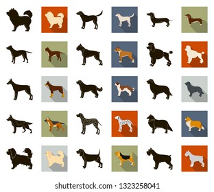 Dog breeds black,flat icons in set collection for design.Dog pet vector symbol stock web illustration.