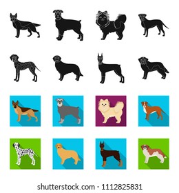 Domestic Horse Breeds Set Cartoon Vector 스톡 벡터(로열티 프리) 577767082 ...