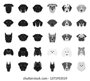 Dog breeds black.mono icons in set collection for design.Muzzle of a dog vector symbol stock web illustration.