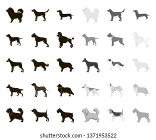 Dog breeds black.mono icons in set collection for design.Dog pet vector symbol stock web illustration.