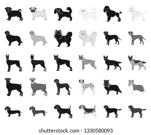 Dog breeds black,monochrome icons in set collection for design.Dog pet vector symbol stock web illustration.