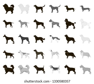 Dog breeds black,monochrome icons in set collection for design.Dog pet vector symbol stock web illustration.