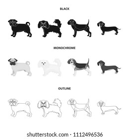 Dog breeds black,monochrome,outline icons in set collection for design.Dog pet vector symbol stock web illustration.