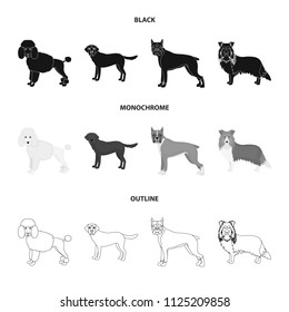Dog breeds black,monochrome,outline icons in set collection for design.Dog pet vector symbol stock web illustration.