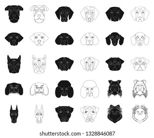Dog breeds black,outline icons in set collection for design.Muzzle of a dog vector symbol stock web illustration.