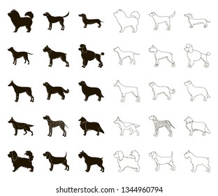 Dog breeds black,outline icons in set collection for design.Dog pet vector symbol stock web illustration.