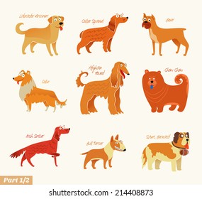 Dog breeds. Bull Terrier, Chow Chow, Collie, Saint Bernard, Cocker Spaniel, Irish Setter, Boxer, Labrador Retriever, Afghan Hound. Funny cartoon character. Vector illustration Isolated on white. Set 1