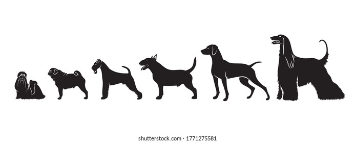 Dog breeds by size - isolated vector illustration