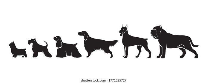 Dog Breeds By Size - Isolated Vector Illustration