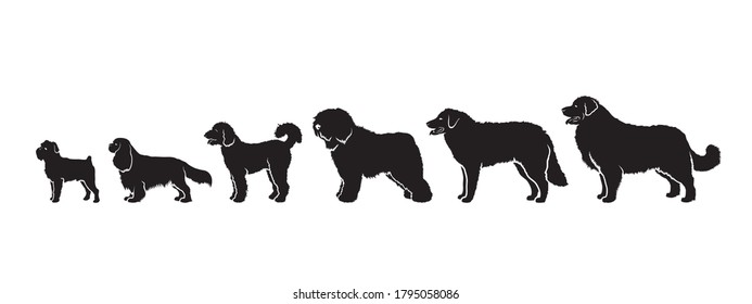 Dog breeds by size - isolated vector illustration