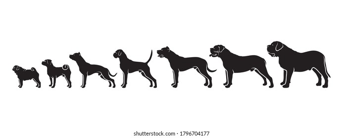 Dog Breeds By Size - Isolated Vector Illustration