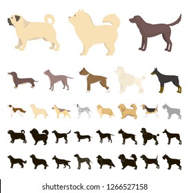 Dog breeds cartoon, black icons in set collection for design.Dog pet vector symbol stock web illustration.