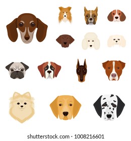 Dog breeds cartoon icons in set collection for design.Muzzle of a dog vector symbol stock web illustration.