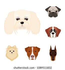 Dog breeds cartoon icons in set collection for design.Muzzle of a dog vector symbol stock web illustration.