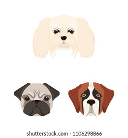 Dog breeds cartoon icons in set collection for design.Muzzle of a dog vector symbol stock web illustration.