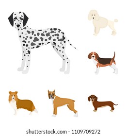 Dog breeds cartoon icons in set collection for design.Dog pet vector symbol stock web illustration.