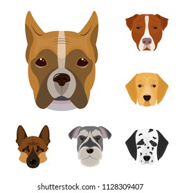 Dog breeds cartoon icons in set collection for design.Muzzle of a dog vector symbol stock web illustration.
