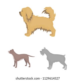 Dog breeds cartoon icons in set collection for design.Dog pet vector symbol stock web illustration.