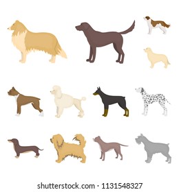 Dog breeds cartoon icons in set collection for design.Dog pet vector symbol stock web illustration.