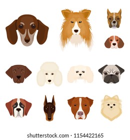 Dog breeds cartoon icons in set collection for design.Muzzle of a dog vector symbol stock web illustration.