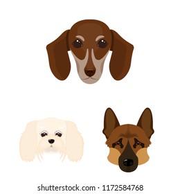 Dog breeds cartoon icons in set collection for design.Muzzle of a dog vector symbol stock web illustration.