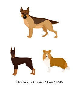 Dog breeds cartoon icons in set collection for design.Dog pet vector symbol stock web illustration.